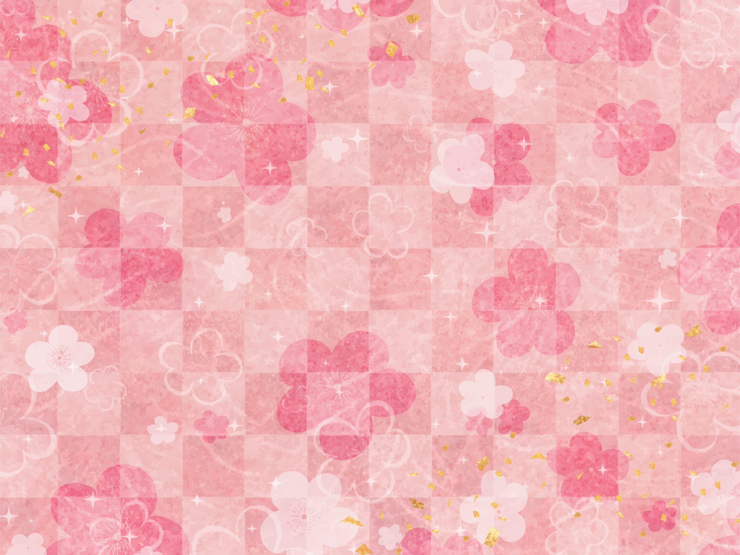 2/17（火）羽澄あやは@あさがやドラム